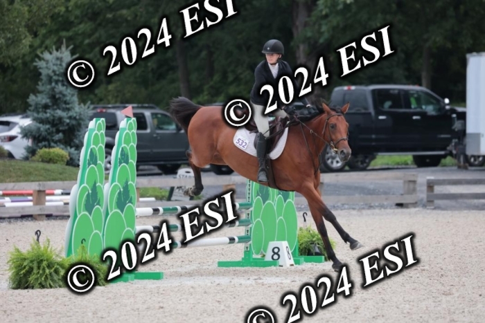 204SC1_0722
