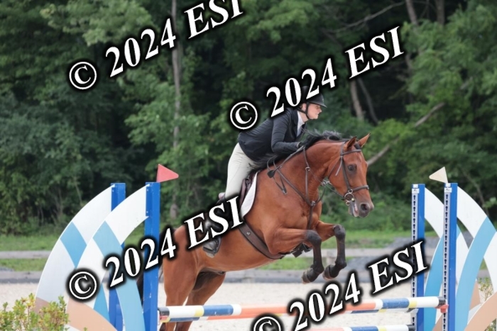 204SC1_0728