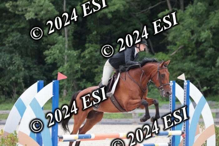 204SC1_0729
