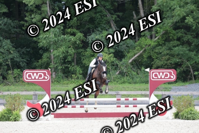 204SC1_0733