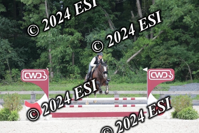 204SC1_0734