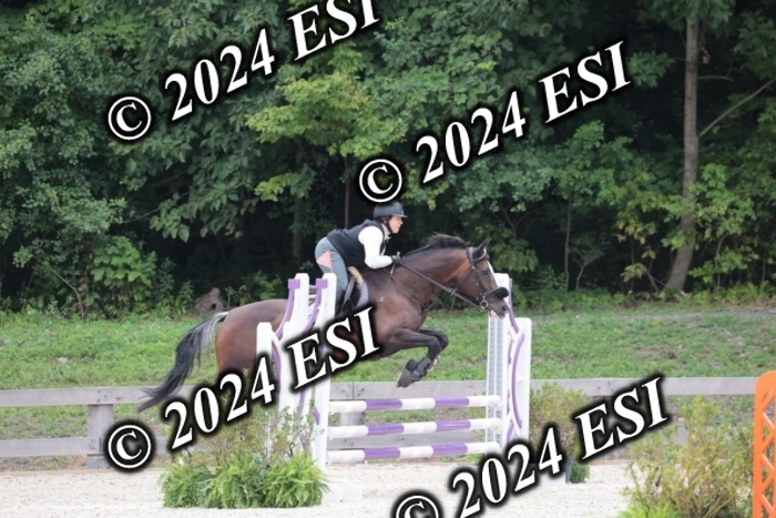 204SC1_0746