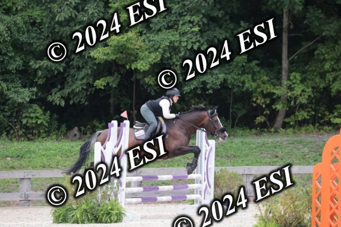 204SC1_0747