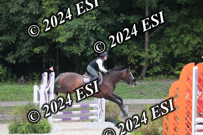 204SC1_0749