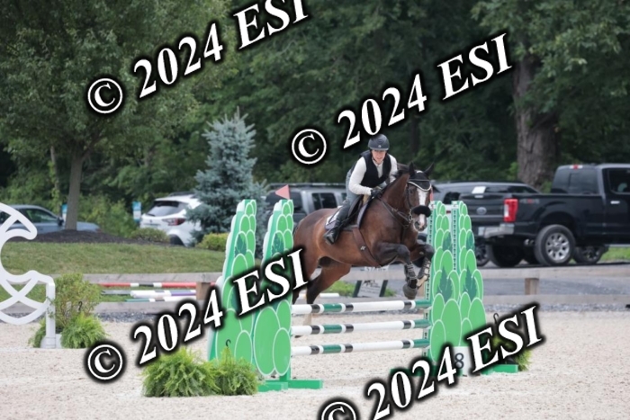 204SC1_0751