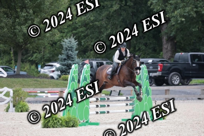 204SC1_0752