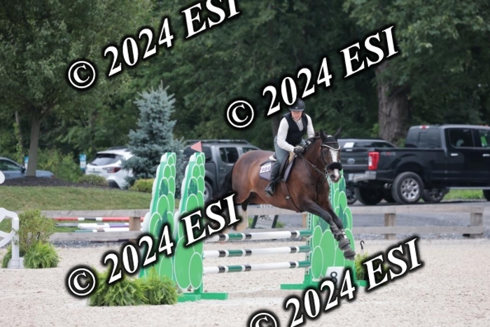 204SC1_0753