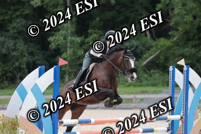 204SC1_0760