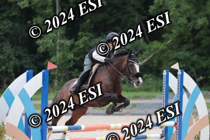 204SC1_0761