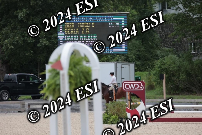 204SC1_0767