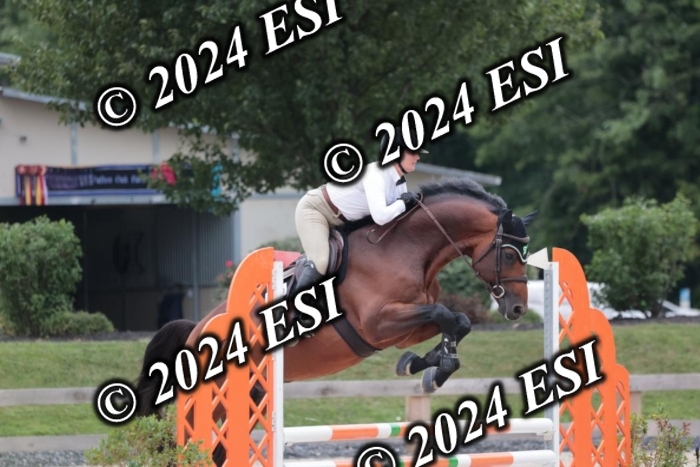204SC1_0770