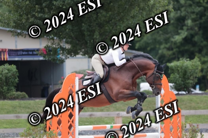 204SC1_0771