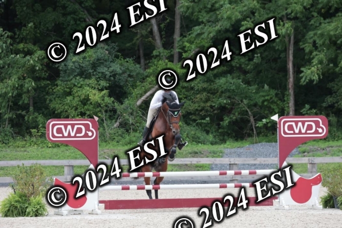 204SC1_0775