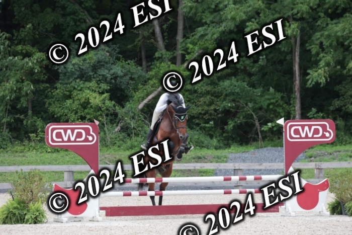 204SC1_0776