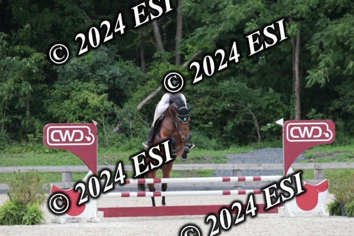 204SC1_0777