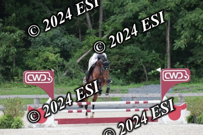 204SC1_0778