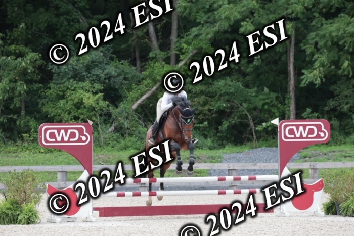 204SC1_0779