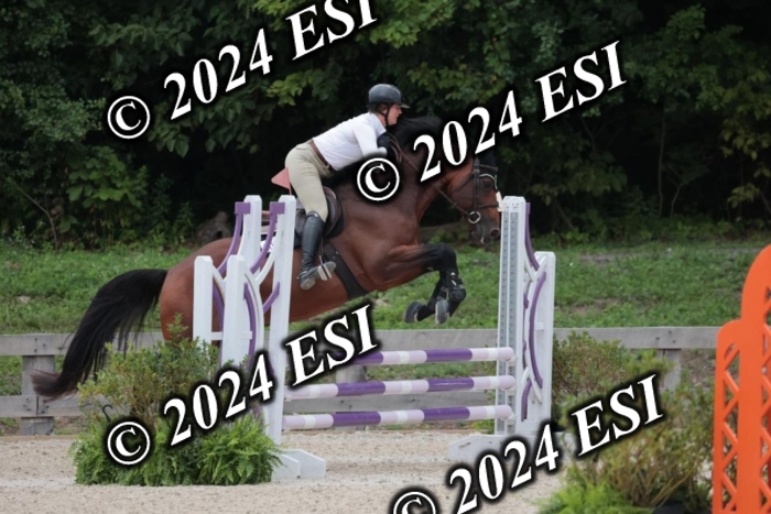 204SC1_0788