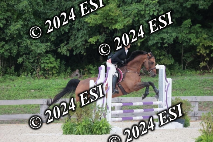 204SC1_9841