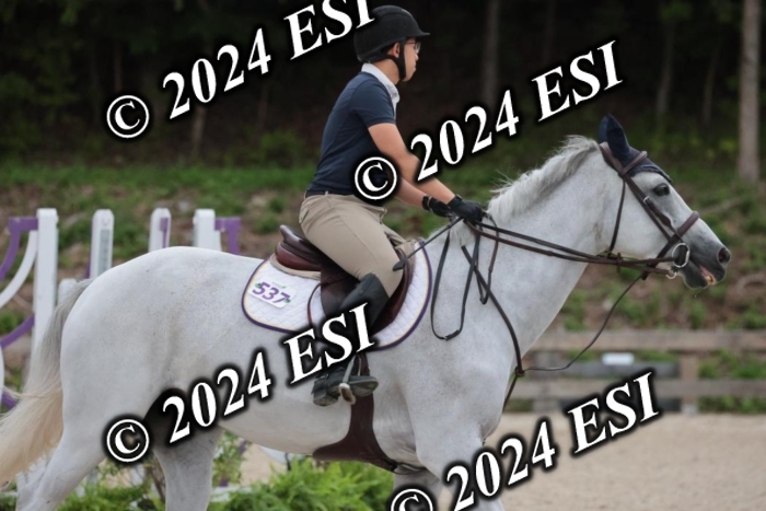 204SC1_9849