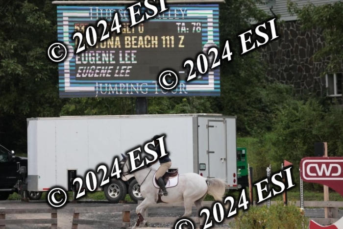 204SC1_9850
