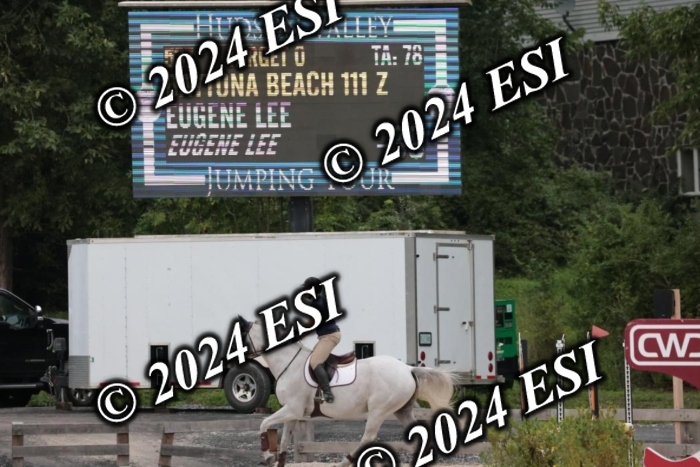204SC1_9851