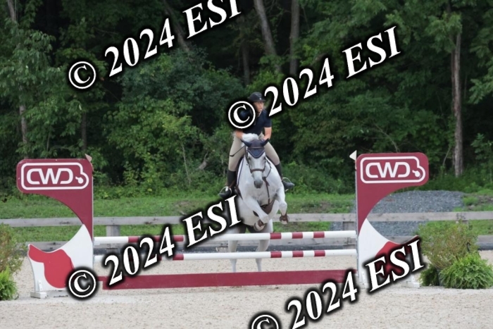 204SC1_9861