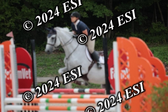204SC1_9865