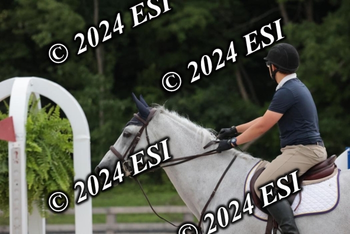 204SC1_9874