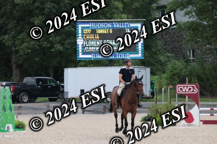 204SC1_9886