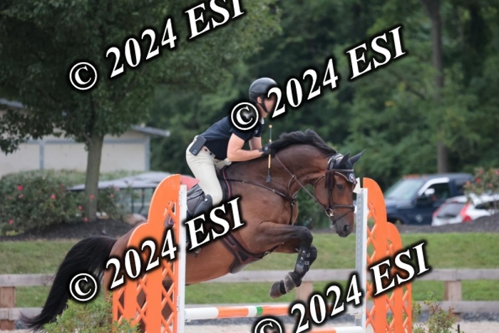 204SC1_9889