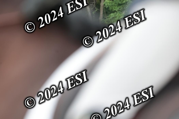 204SC1_9892
