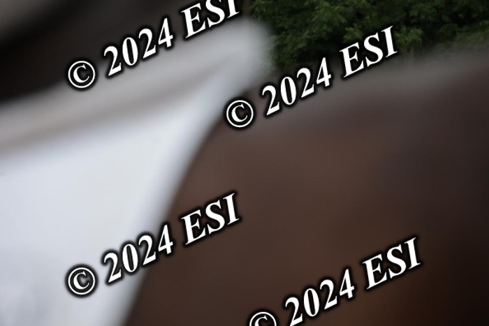 204SC1_9895