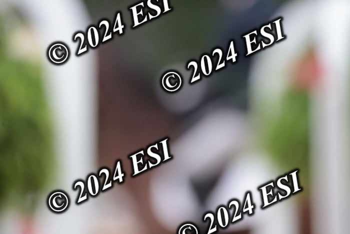 204SC1_9905