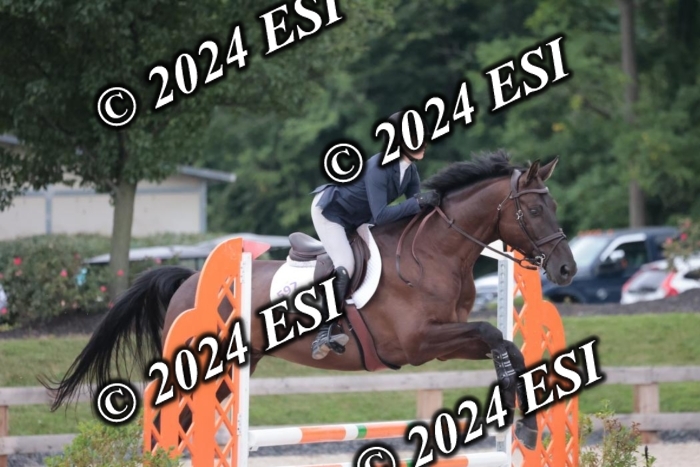 204SC1_9915