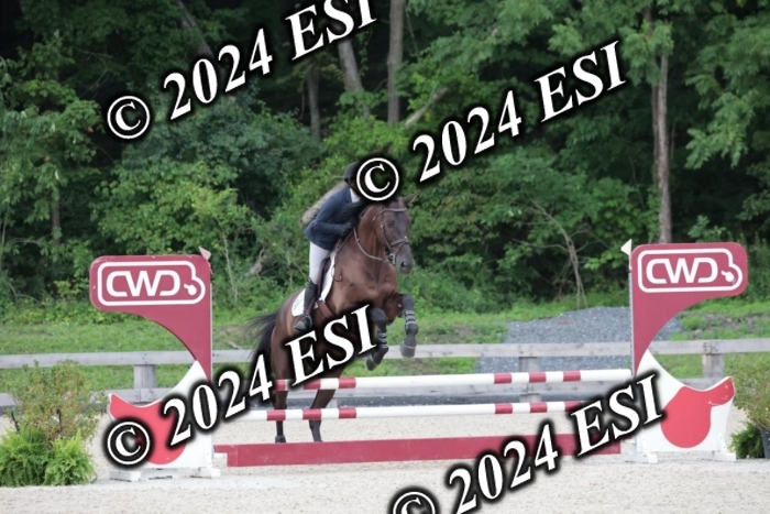 204SC1_9916