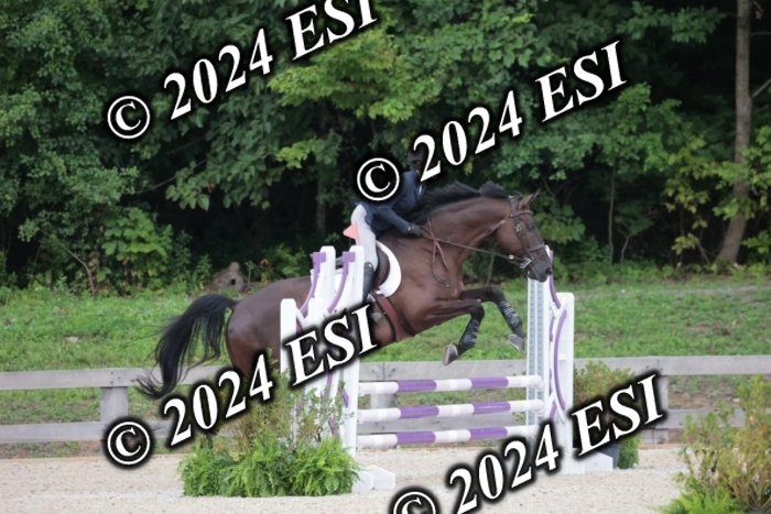 204SC1_9927