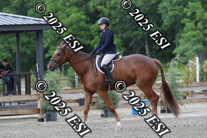 660HSCL9746