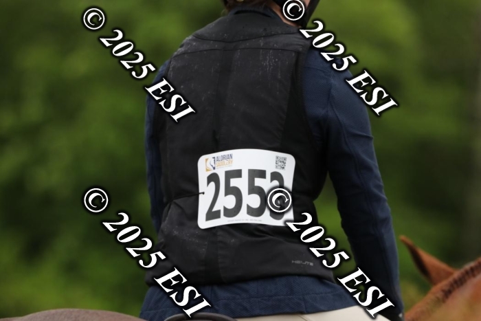 660HSCL9767