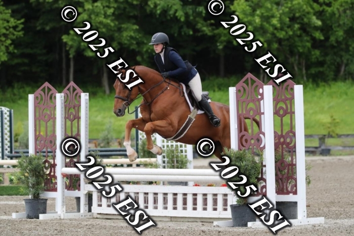 660HSCL9769