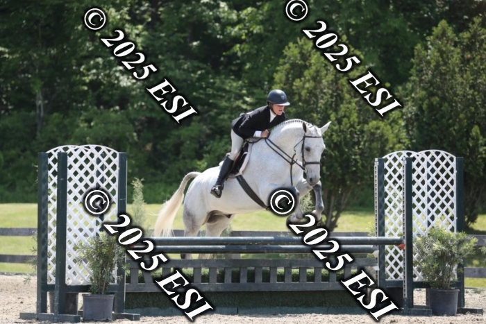 005RWCL0201