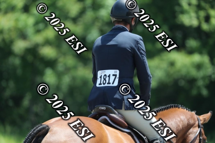 005RWCL0247