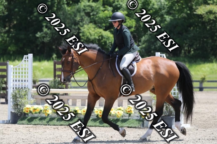 005RWCL0260