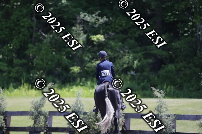 005RWCL0291