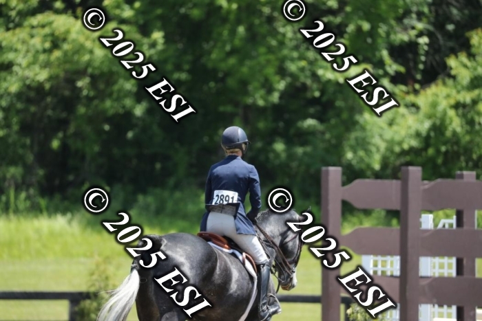 005RWCL0292