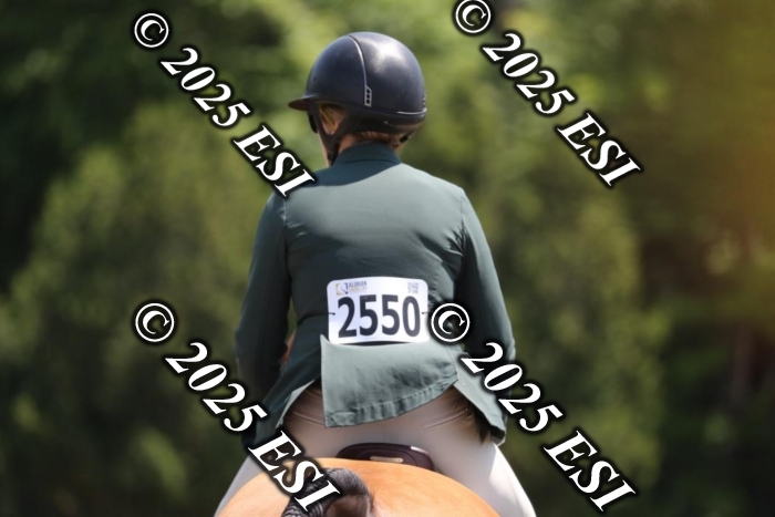 005RWCL0319