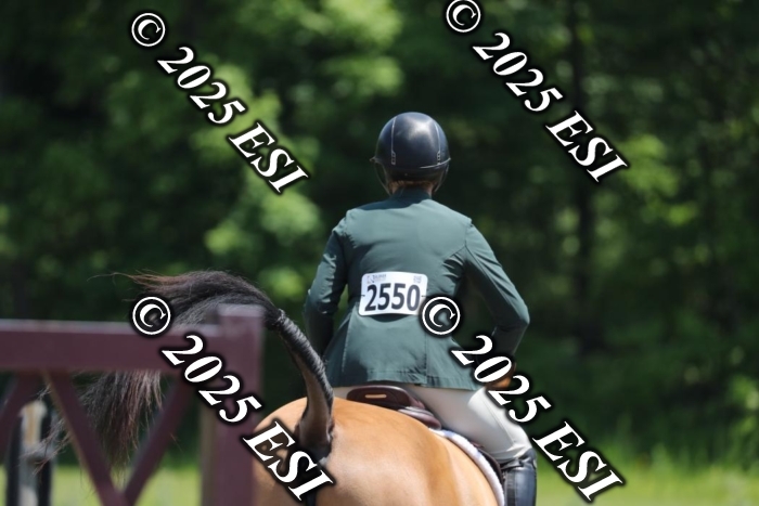 005RWCL0331