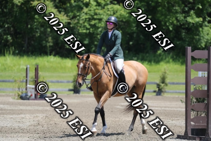 005RWCL0334