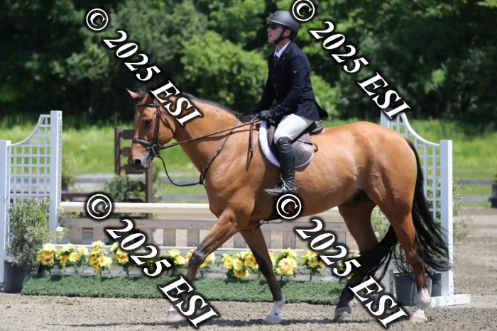 005RWCL0342