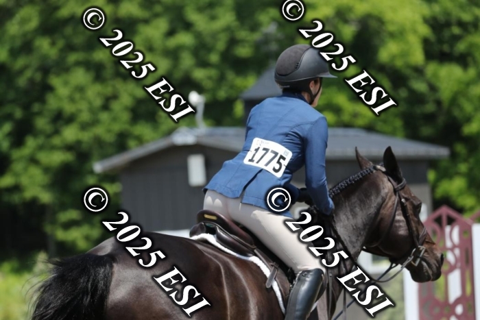 005RWCL0385